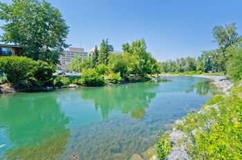 Close to elbow river